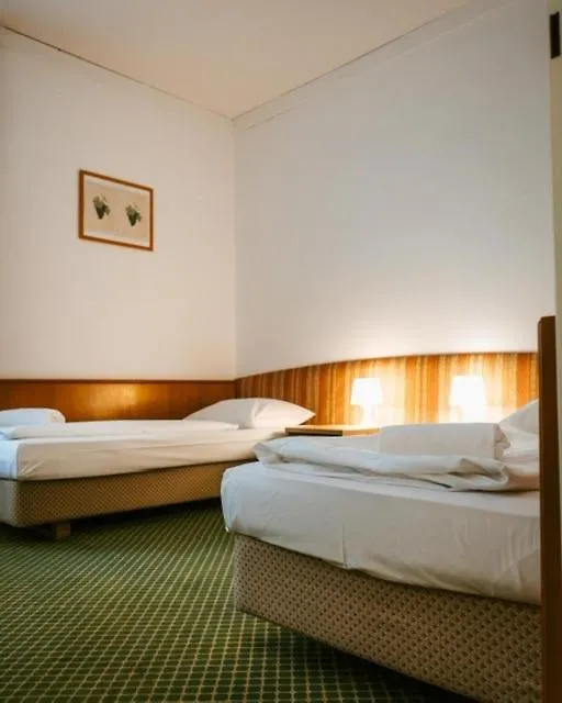 Hotel Am Sachsengang Groß-Enzersdorf