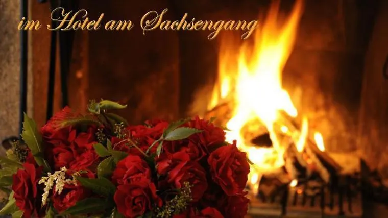 Hotel Am Sachsengang Groß-Enzersdorf