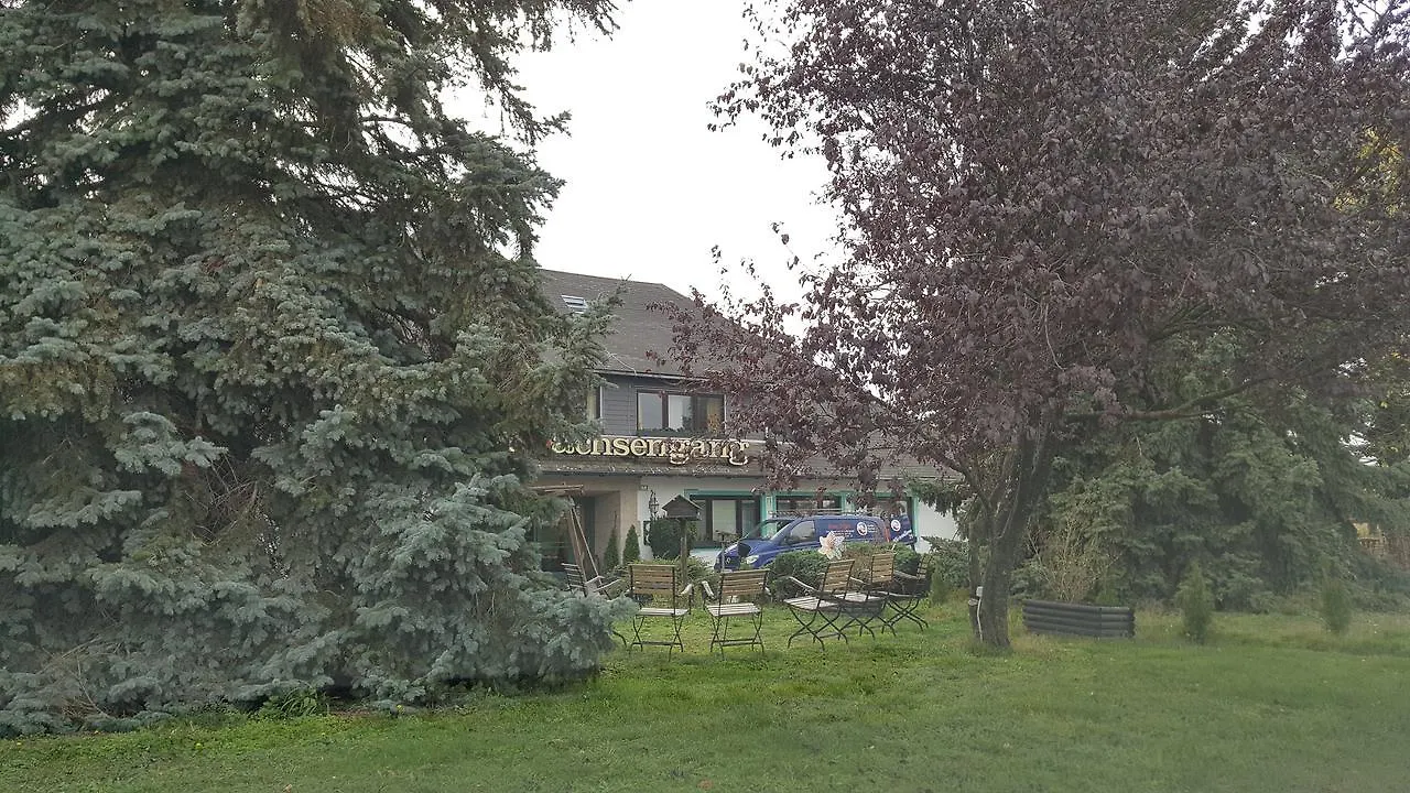 Hotel Am Sachsengang Groß-Enzersdorf
